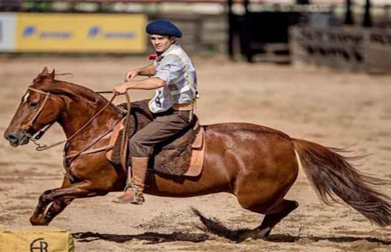 ABCCC projeta ano promissor para o Cavalo Crioulo