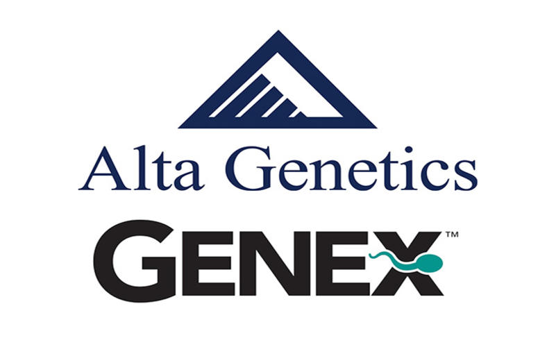 Fusão cria maior empresa de genética bovina do mundo