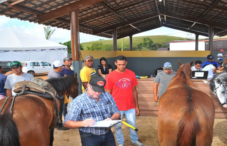 ABQM faz chipagem em mais de 550 animais na Vaquejada