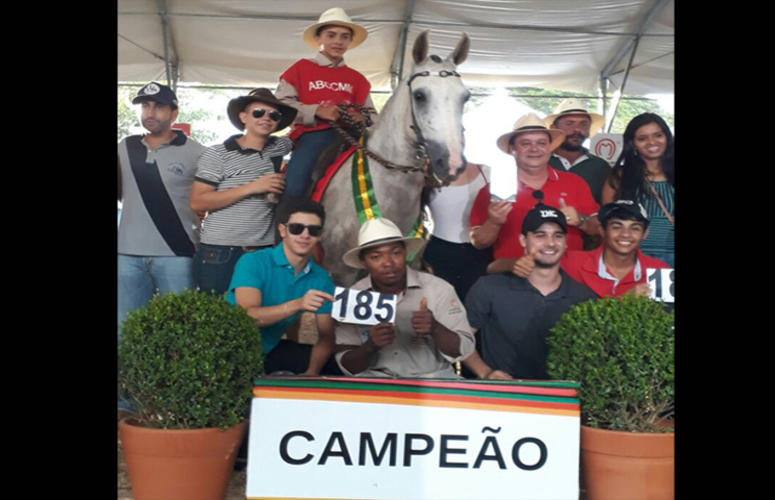 Garoto de 14 anos vence competição de Égua Adulta no CBM 2017