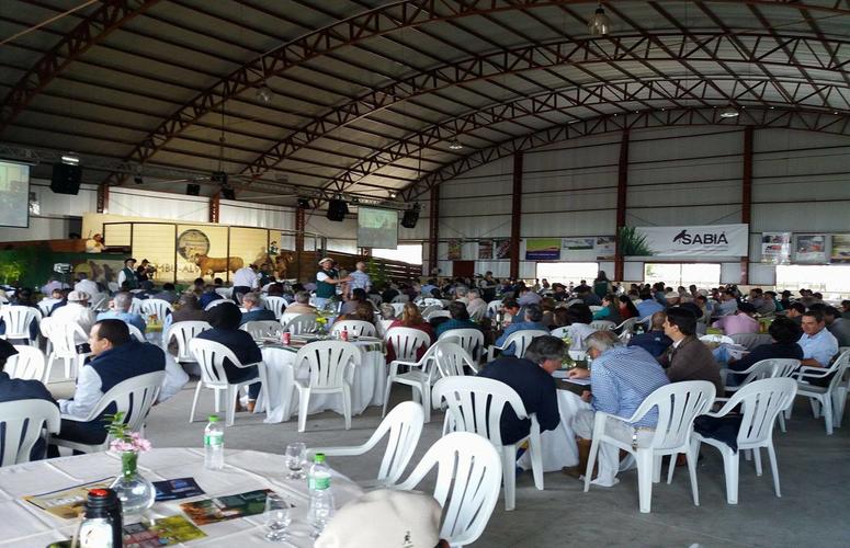 Guatambu, Alvorada e Caty supera faturamento de 2016