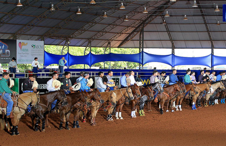 Quebra de recordes e égua milionária marcam Potro do Futuro