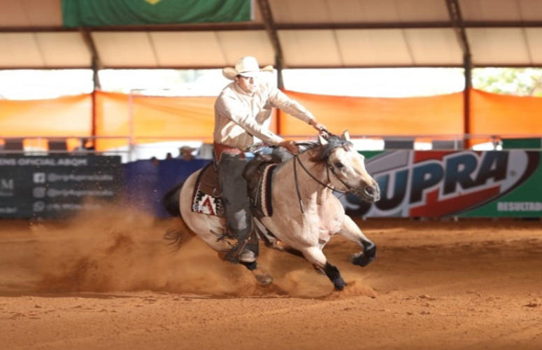 Saiba por que o quarto de milha é o cavalo mais versátil do mundo