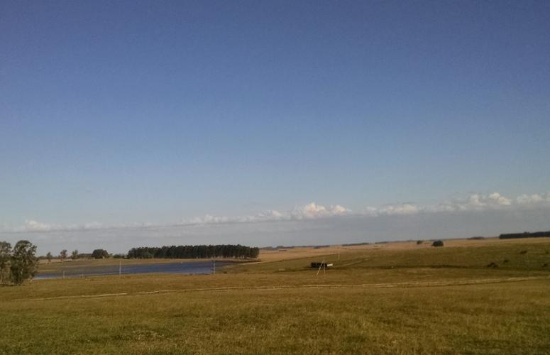 O PSI tem sangue puro, nome inglês e faturamento alto