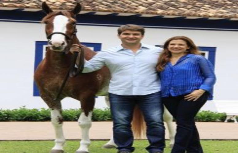 1º Leilão CASS Fest reúne duas consagradas raças da pecuária nacional