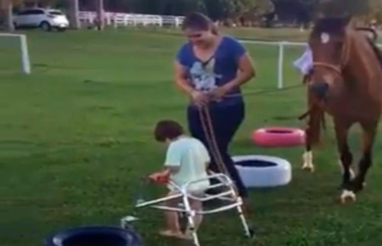 Cavalo quarto de milha ajuda criança com paralisia cerebral a andar