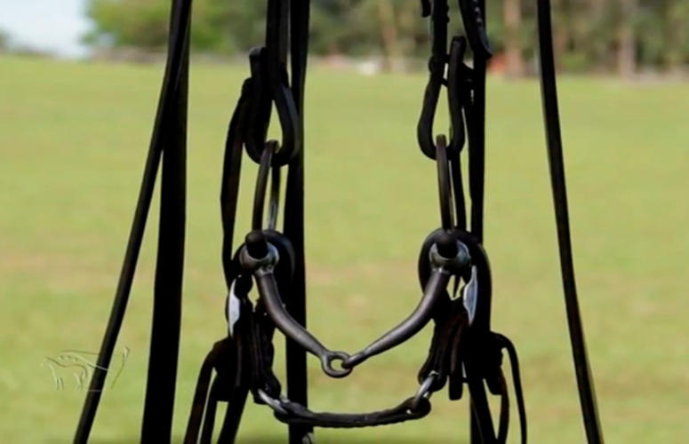 Suas dúvidas entre usar bridão ou embocadura terminam aqui