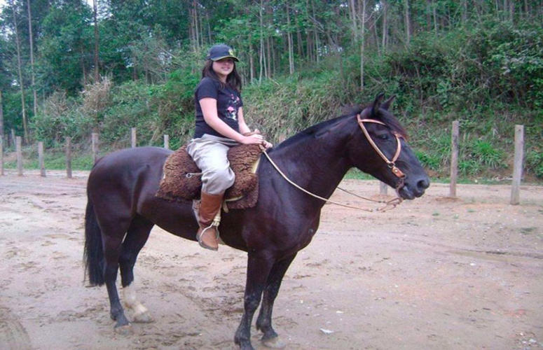 Cavalo crioulo ensina o verdadeiro espírito do Natal