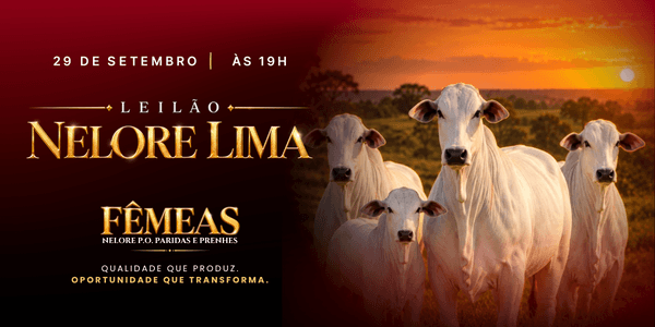 Leilão gente feliz - Etapa Fêmeas