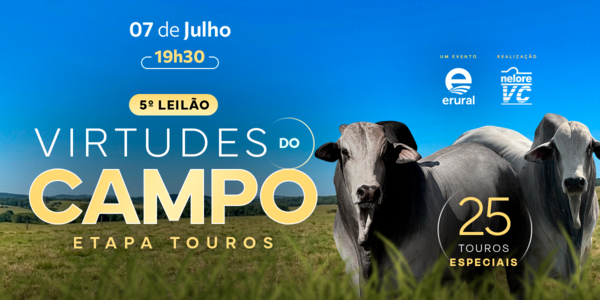 VIRTUDES DO CAMPO - ETAPA TOUROS