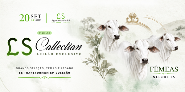 LS COLLECTION - ETAPA FÊMEAS