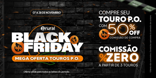 black friday
